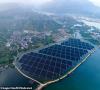 برق خورشیدی در چین از برق سنتی ارزانتر است