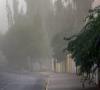 احتمال وزش باد شدید در پایتخت/ تهران در مرداد آلوده می‌شود