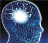 نخستین مغز مصنوعی جهان با قدرت تقلید مهارت ها و اشتباهات انسانی ساخته شد