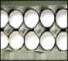 تخم مرغهای شکسته و فاقد نشان استاندارد را نخرید