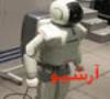 ساخت روبات تجسسی پیچیده با قابلیت های نظامی