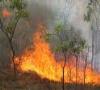 آتش سوزي در 30 هکتار از جنگل ابر