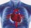 تنگی عروق کرونر ، شایع ترین بیماری قلبی
