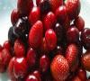 میوه های قرمز رنگ راز سلامتی چشمانتان