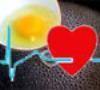 بیماران قلبی و عروقی، تخم مرغ را با احتیاط مصرف کنند