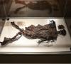 دستخط ونگوگ در موزه ملی/مومیایی با پوست و بدون استخوان