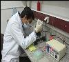 پژوهشگران ایرانی روش جدیدی برای درمان سرطانهای دستگاه گوارش ارائه کردند