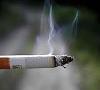 ترک سیگار با مصرف خشکبار
