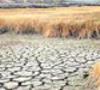 حدود 600 روستای خراسان رضوی در خطر خشکسالی