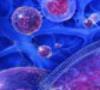 کشف سلول های بنیادی مقاوم در سرطان های کبدی