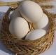 رئیس اتحادیه مرغداران میهن با اشاره به کاهش قیمت تخم مرغ نسبت به نرخ‌های توافقی، اعلام کرد: قیمت تخم مرغ نسبت به یک ماه گذشته حدود 500 تومان در هر کیلوگرم کاهش یافته است.
