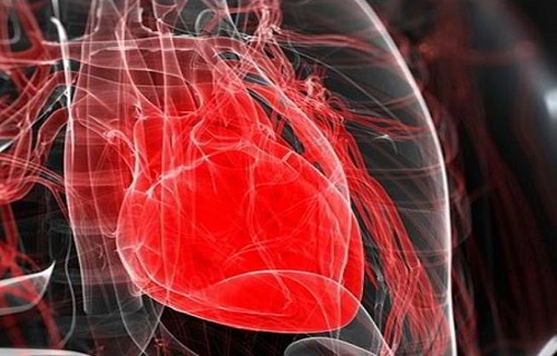 عضو هیئت علمی پژوهشگاه درباره نتایج مثبت قلب تپنده با استفاده از سلول درمانی قلبی عروقی توضیحاتی داد.