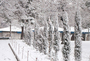 	مدیرکل پیش بینی و هشدار سریع سازمان هواشناسی کشور از آغاز بارش برف در تهران از اواخر پنجشنبه خبرداد.