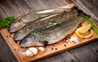 در تمام مقالات تغذیه ای و سلامتی خوردن ماهی, راهی برای سالم ماندن بیان شده است این حرف کاملا درست است و ماهی یکی از مواد غذایی لازم برای داشتن تغذیه ای سالم و متعادل است
