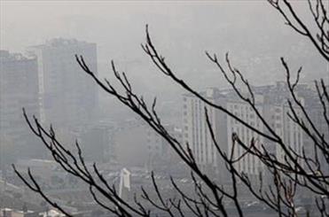 رئیس پلیس راهور تهران با اعلام اینکه متولی بحث کاهش آلودگی هوا و ترافیک در پایتخت مشخص نیست، گفت:رئیس جمهور آینده باید دستگاههای متولی را مشخص و هر دستگاه به تکالیفش عمل کند.