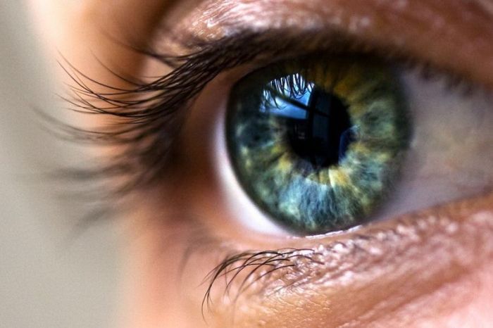 اگر از لنز استفاده می کنید احتمالا سوالات بسیاری درباره لنز، نگهداری و عوارض ناشی از آن و... دارید. در این مطلب دکتر سید محمد میرآفتاب، فوق تخصص قرنیه چشم هر آنچه نیاز دارید که درباره لنز بدانید را به شما می گوید.