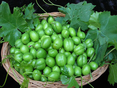رییس اتحادیه میوه و سبزی از کاهش قیمت نوبرانه‌ها در بازار خبر داد و گفت: بزودی میوه‌های تابستانی مانند گیلاس و زردآلو به بازار مصرف عرضه می‌شود.
