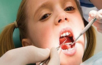 دندان های شیری از حدود ۷ ۶ ماهگی در دهان کودک رویش می یابند و تا حدود ۲ سالگی به طور طبیعی کودکان دارای ۲۰ عدد دندان شیری هستند.