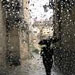 بارش باران در واپسین روزهای پاییز ، چهره ای پرطراوت به ایران داد.
