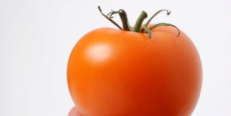 محققان دریافتند ترکیب موجود در پوست گوجه‌فرنگی با دیابت مبارزه می‌کند.
