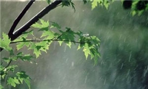 مدیرکل پیش بینی و هشدار سازمان هواشناسی از ورود سامانه جدید بارشی از اواخر امروز به کشور خبر داد و گفت: بر همین اساس طی روز شنبه و یکشنبه آسمان برخی از نواحی کشور بارانی می شود.