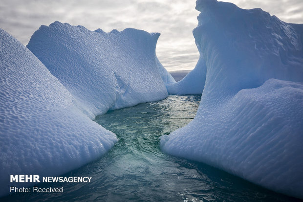 دانشمندان معتقدند با بارش برف مصنوعی در قطب جنوب می توان از ذوب شدن یخ ها و افزایش سطح آب دریا جلوگیری کرد.