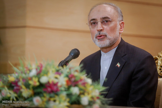 رئیس سازمان انرژی اتمی با بیان اینکه قرارداد رآکتور اراک پیمانکار ایرانی دارد، گفت: برای استاندارد بودن پروژه‌ها باید با کشورهایی که در این زمینه قدمت و تجربه دارند، صحبت کرد.
