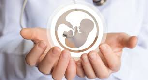 اشرفی گفت: به دلیل خلاء‌های قانونی در درمان ناباروری فعالیت‌ها در حوزه اهدای تخمک، جنین و رحم اجاره‌ای را به سختی انجام می‌شود.