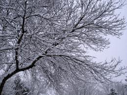 بدليل بارش برف و برودت هوا، مدارس ابتدايي و راهنمايي استان قم، امروز يكشنبه تعطيل است.