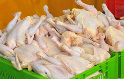 گزارش بانک مرکزی از متوسط قیمت خرده فروشی ۱۱ گروه کالایی نشان از کاهش قیمت تخم مرغ و افزایش ۱۰.۱ درصدی گوشت مرغ طی یک هفته دارد.