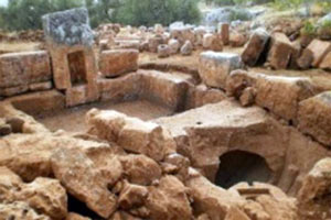 	باستان شناسان فرانسوی در منطقه باستانی پریشا در شمال سوریه موفق به کشف دو کارگاه آب میوه گیری متعلق به عصر بیزانس شدند.