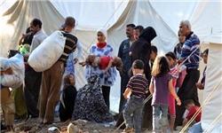 بنا به گزارش منابع آگاه به وضعیت پناهندگان سوری در لبنان، در میان پناهندگان سوری، کلیه تنها عضو بدنی نیست که به فروش می‌رسد، بلکه کبد نیز به عنوان یک عضو دیگر بدنی است که آوار‌گان سوری برای نجات کودکان خود به فکر فروش آن هستند.