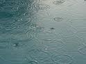 مدیرعامل شرکت مدیریت منابع آب ایران: بر اساس پیش بینی های سازمان هواشناسی، احتمال بارش در نواحی شمال و شمال غرب کشور تا پایان این هفته وجود دارد.
