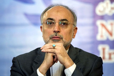 رییس سازمان انرژی اتمی کشورمان از تدوین سند رسمی ایران و ۱+۵ درباره راکتور اراک خبر داد.