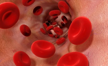 
محققان علوم پزشکی در اسپانیا اعلام کردند بین کلسترول بالا در خون و ابتلا به سرطان سینه ، ارتباط وجود دارد.