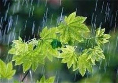 مدیرکل پیش بینی و هشدار سریع سازمان هواشناسی از احتمال بارش پراکنده باران و تگرگ در 15 استان کشور طی 3 روز آینده خبر داد.