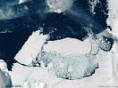 یک قطعه یخ 30 میلیون تنی پس از زمین لرزه مرگبار شهر کرایست چرچ نیوزلند ، از یکی از یخچال های طبیعی این کشور، جدا شده است.
