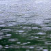 گیلان و یزد به ترتیب پر بارش ترین و کم بارش ترین استان از ابتدای امسال تاکنون گزارش شده اند.
