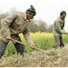 وزیر جهاد کشاورزی از رفع مشکل کشاورزان برای ارائه وثیقه های بانکی و دریافت تسهیلات اعتباری خبر داد.
