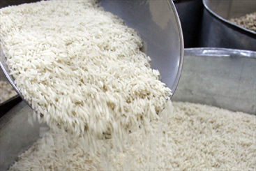 معاون غذای سازمان غذا و دارو در واکنش به واردات برنج و گندم آلوده به کشور، اظهارداشت: تاکنون گزارشی از واردات برنج آلوده نداشته ایم و در مورد گندم آلوده نیز وزارت جهادکشاورزی باید پاسخگو باشد.