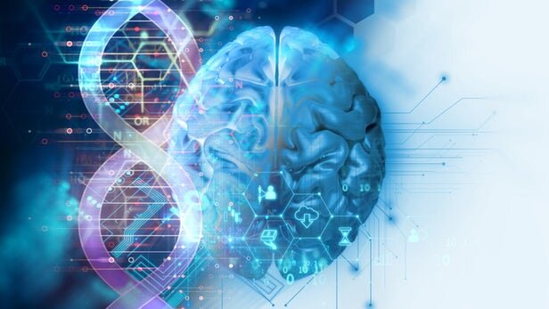 یک مطالعه جدید نشان می‌دهد یک ژن مرتبط با آلزایمر می‌تواند در سن بسیار جوان‌تر نسبت به آنچه قبلا تصور می‌شد، قدرت شناختی مغز را تحت تاثیر قرار دهد.