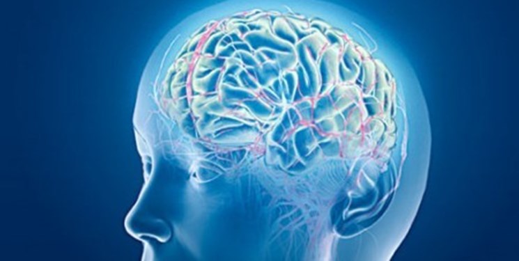دبیر علمی پنجمین همایش نقشه‌برداری مغز گفت: بیشتری بیماری‌های اختلالات خوب در سن 30 تا 50 سالگی بروز می‌کند و بی‌خوابی منجر به از بین رفتن سلول‌‌های مغز خواهد شد.