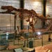 اسکلت های سه دایناسور در حراجی ساوتسبی در پاریس به فروش می رسد.
 
 
