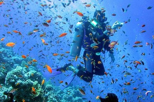 به اعتقاد محققان حوزه اقیانوس‌شناسی تغییرات اقلیمی و دمایی دو چالش اساسی مرجان‌های خلیج فارس هستند و مطالعات میدانی آنها نشان می‌دهد مرجان‌های شاخ گوزنی جزیزه شیدور استان هرمزگان به طور کامل از بین‌رفته و موج شکن‌های جزیره 