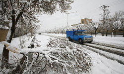 مديركل آموزش و پرورش كردستان اعلام كرد: مدارس ابتدايي نوبت صبح تمامي شهرستان‌هاي استان كردستان به علت بارش سنگين برف و برودت هوا امروز (يكشنبه) تعطيل است.