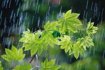 مدیرکل پیش‌بینی و هشدار سریع سازمان هواشناسی نسبت به بارش شدید باران در 5 استان کشور طی امشب و فردا خبر داد.
