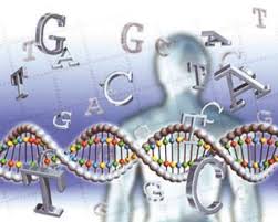 بنیاد ژنتیک تهران در راستای کمک به پیشگیری و درمان بیماری‌های ژنتیکی به همت انجمن ژنتیک ایران و با همکاری بهزیستی تهران راه‌اندازی می‌شود.