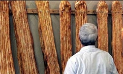 رئیس سازمان صنعت، معدن و تجارت استان البرز قیمت جدید انواع نان را در این استان اعلام کرد.