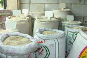 عضو هیات علمی موسسه تحقیقات برنج کشور با بیان اینكه دستیابی به ارقام پرمحصول و خوش پخت از اولویت برنامه های اصلاح برنج است، گفت: افزایش تولید برنج در ایران با محدودیت هایی مثل زمین، آب از یک طرف و تقاضای مصرف کنندگان به برنج های کیفی از طرف دیگر مو