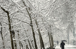 مدیرکل پیش بینی و هشدار سریع سازمان هواشناسی گفت: برف و باران کشور را فرا می گیرد.